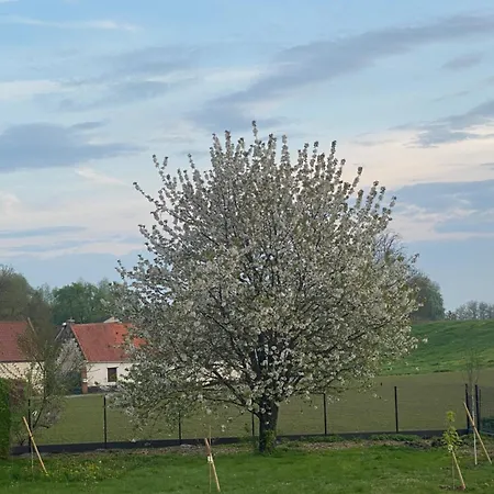 Bed & Breakfast Des Tours